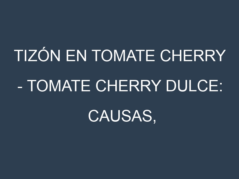 Tizón en Tomate cherry – Tomate cherry dulce: Causas, Síntomas y Estrategias de Control en Cultivos