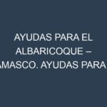 Ayudas para el Albaricoque – Damasco. Ayudas para el cultivo. Subvenciones.