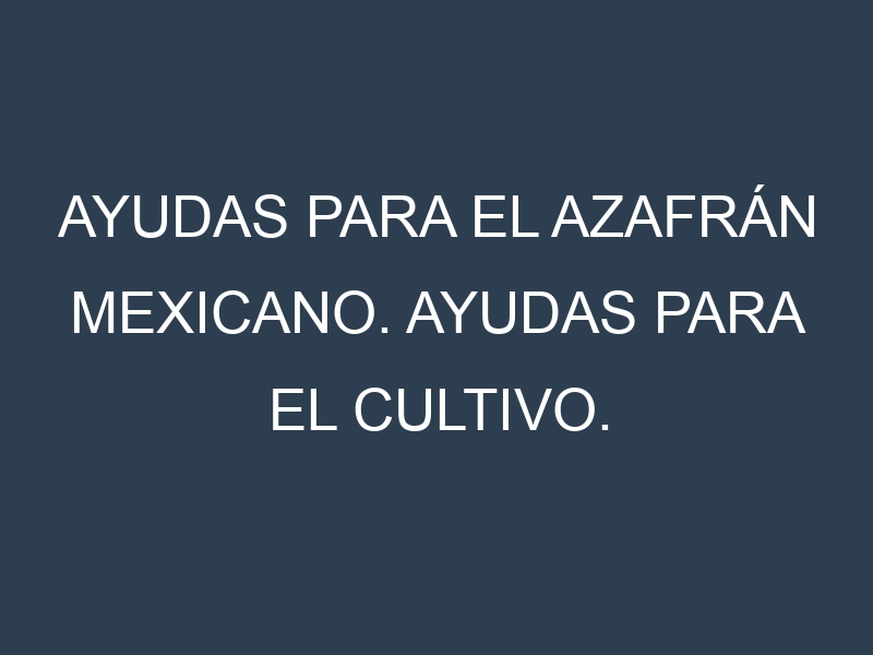 Ayudas para el Azafrán mexicano. Ayudas para el cultivo. Subvenciones.
