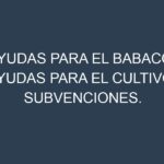 Ayudas para el Babaco. Ayudas para el cultivo. Subvenciones.