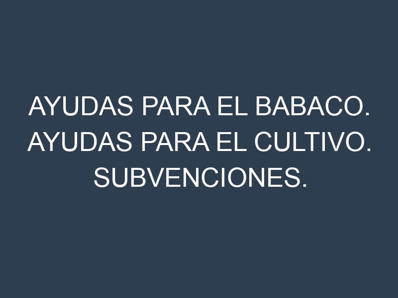 Ayudas para el Babaco. Ayudas para el cultivo. Subvenciones.