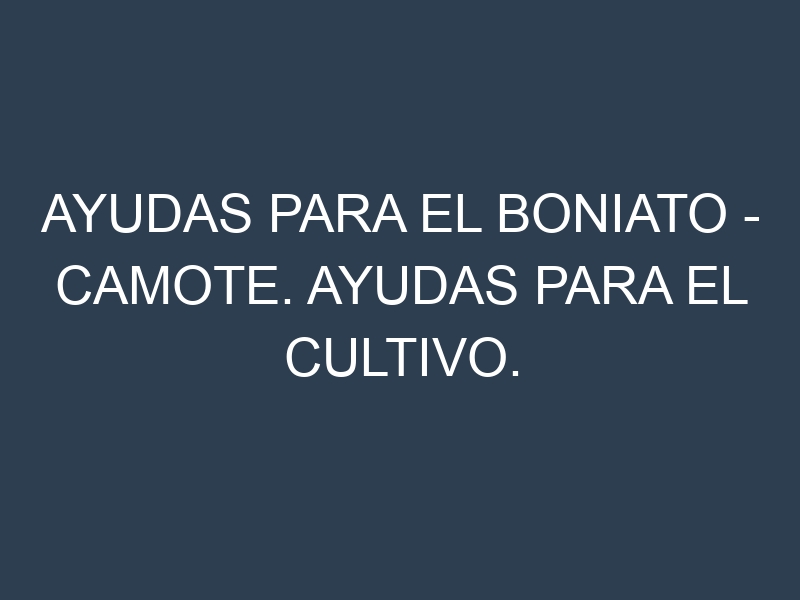 Ayudas para el Boniato – Camote. Ayudas para el cultivo. Subvenciones.