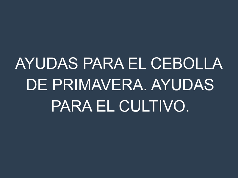 Ayudas para el Cebolla de primavera. Ayudas para el cultivo. Subvenciones.