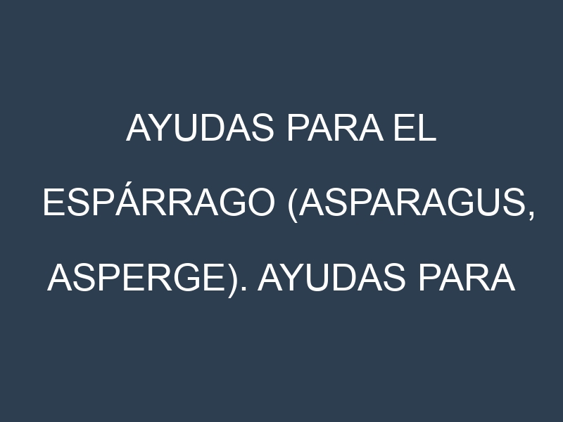 Ayudas para el Espárrago (Asparagus, asperge). Ayudas para el cultivo. Subvenciones.