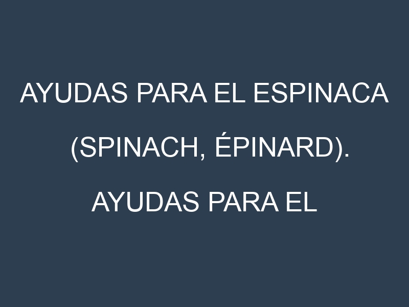 Ayudas para el Espinaca (Spinach, épinard). Ayudas para el cultivo. Subvenciones.