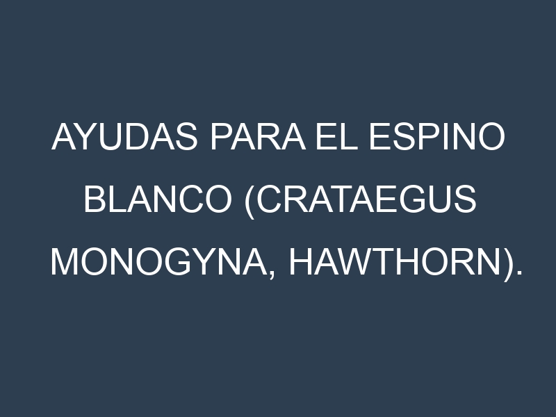 Ayudas para el Espino blanco (Crataegus monogyna, hawthorn). Ayudas para el cultivo. Subvenciones.