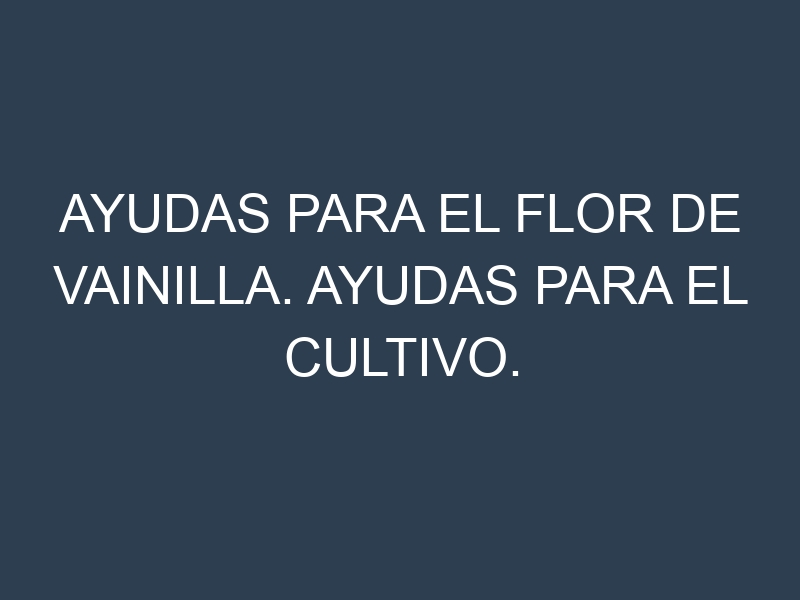 Ayudas para el Flor de vainilla. Ayudas para el cultivo. Subvenciones.