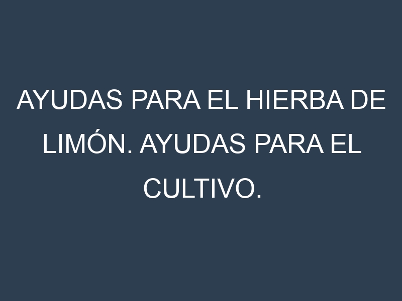Ayudas para el Hierba de limón. Ayudas para el cultivo. Subvenciones.