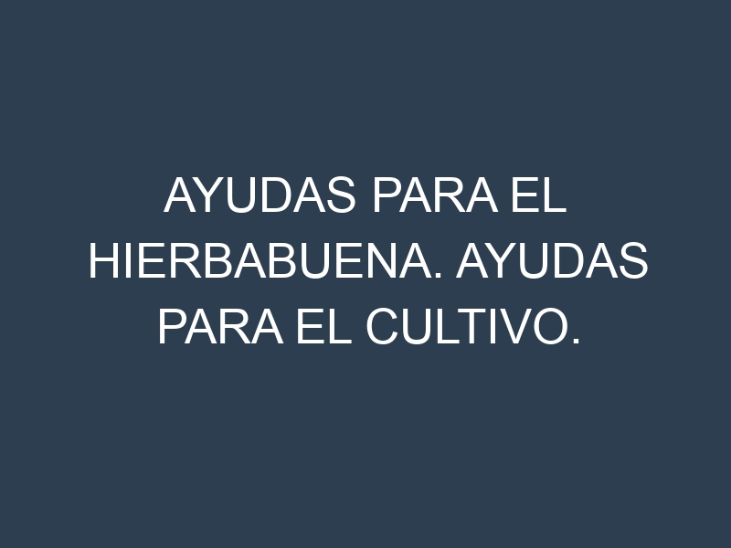 Ayudas para el Hierbabuena. Ayudas para el cultivo. Subvenciones.