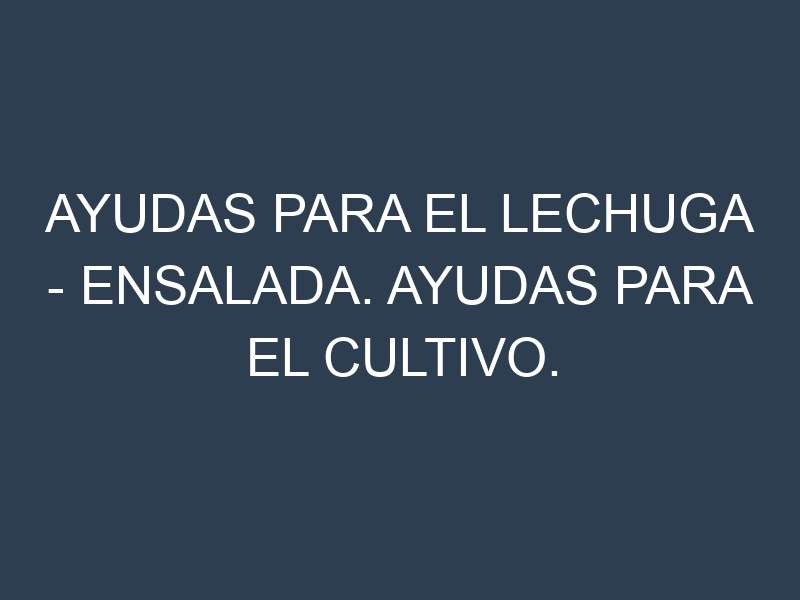 Ayudas para el Lechuga – Ensalada. Ayudas para el cultivo. Subvenciones.