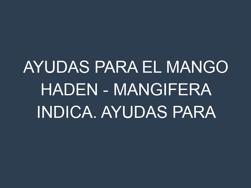 Ayudas para el Mango Haden – Mangifera indica. Ayudas para el cultivo. Subvenciones.