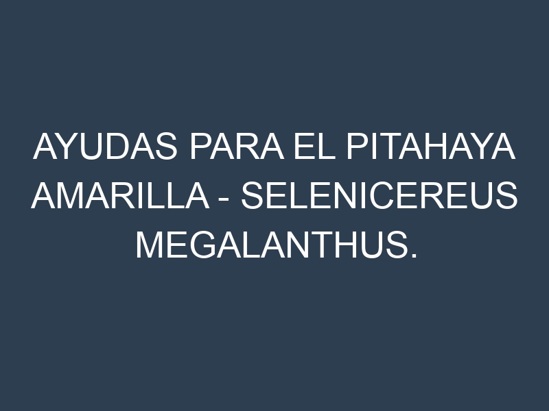 Ayudas para el Pitahaya Amarilla – Selenicereus megalanthus. Ayudas para el cultivo. Subvenciones.