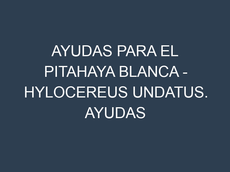 Ayudas para el Pitahaya Blanca – Hylocereus undatus. Ayudas para el cultivo. Subvenciones.