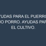 Ayudas para el Puerro – Ajo porro. Ayudas para el cultivo. Subvenciones.