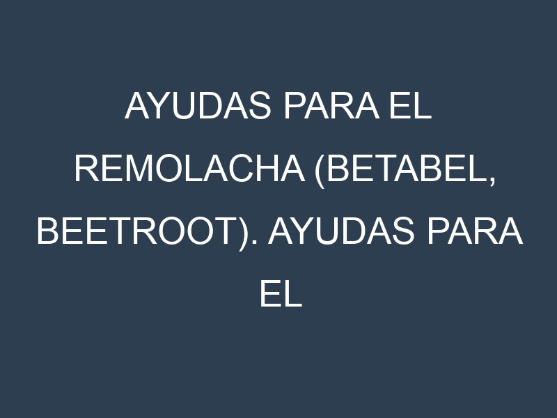Ayudas para el Remolacha (Betabel, beetroot). Ayudas para el cultivo. Subvenciones.