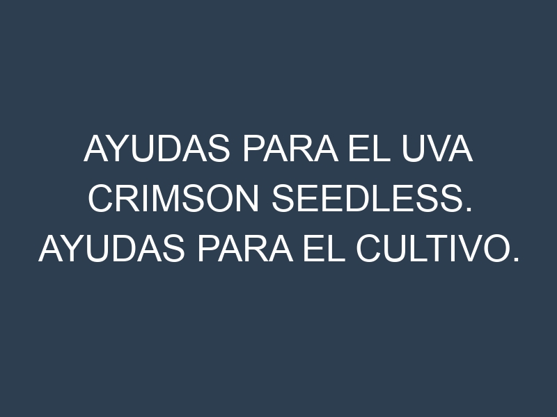 Ayudas para el Uva Crimson Seedless. Ayudas para el cultivo. Subvenciones.