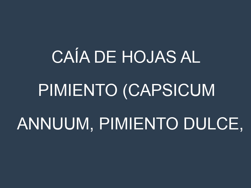 Caía de hojas al Pimiento (Capsicum annuum, Pimiento dulce, Pimiento picante)