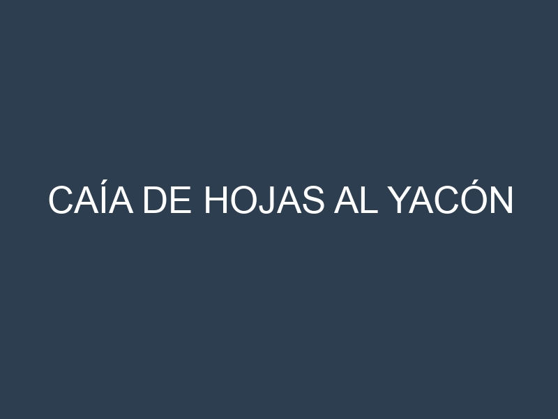 Caía de hojas al Yacón
