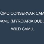Cómo conservar Camu camu (Myrciaria dubia, Wild camu, Rúcula camu, Patawa).