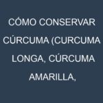 Cómo conservar Cúrcuma (Curcuma longa, Cúrcuma amarilla, Cúrcuma fresca).