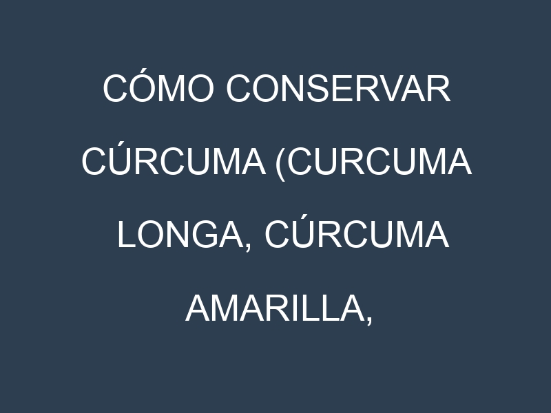 Cómo conservar Cúrcuma (Curcuma longa, Cúrcuma amarilla, Cúrcuma fresca).