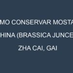 Cómo conservar Mostaza china (Brassica juncea, Zha cai, Gai choy, Southern Giant Curled).