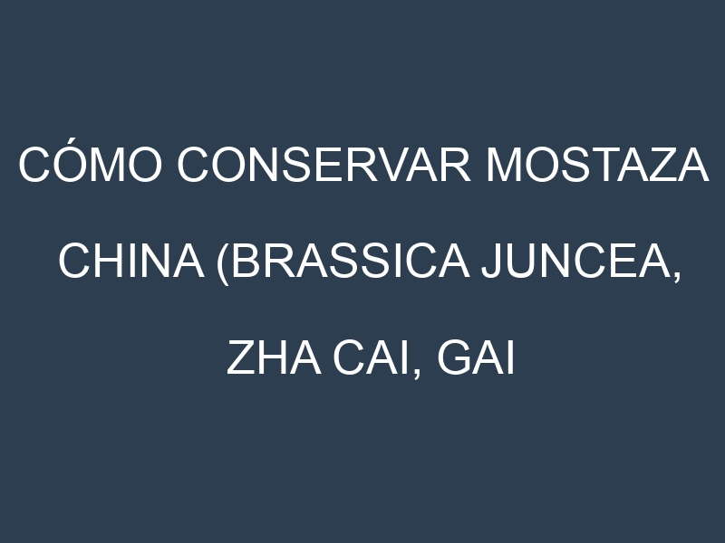 Cómo conservar Mostaza china (Brassica juncea, Zha cai, Gai choy, Southern Giant Curled).