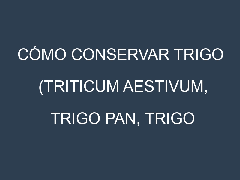 Cómo conservar Trigo (Triticum aestivum, Trigo pan, Trigo duro).