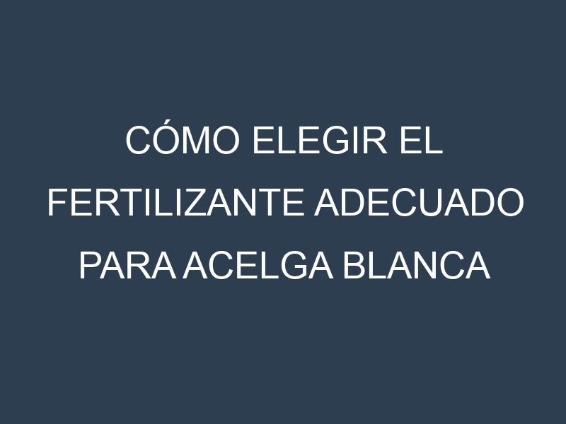 Cómo Elegir el Fertilizante Adecuado para Acelga blanca