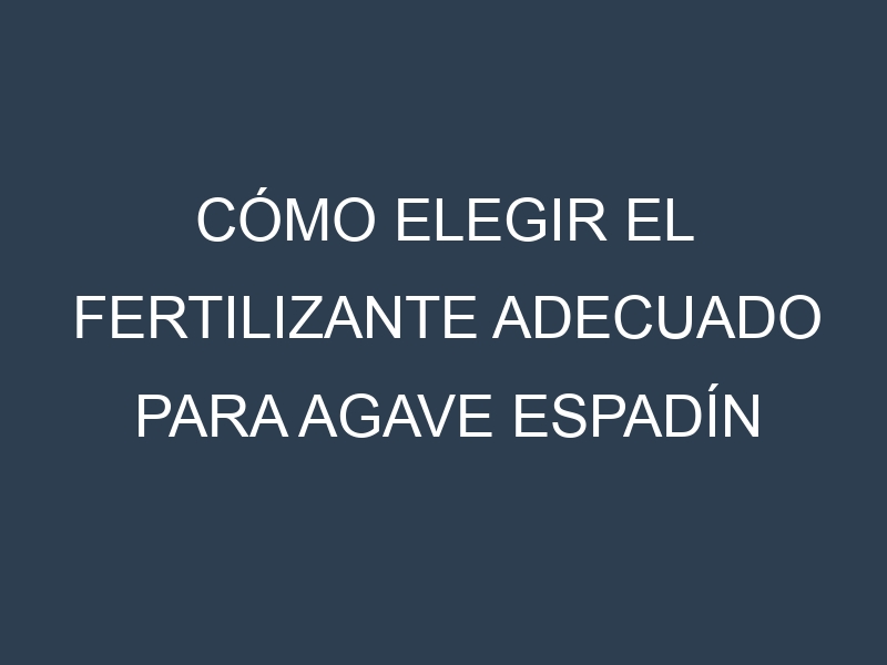 Cómo Elegir el Fertilizante Adecuado para Agave espadín (Agave angustifolia, espadín agave)