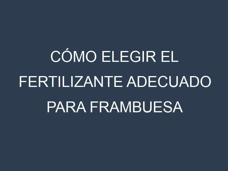Cómo Elegir el Fertilizante Adecuado para Frambuesa