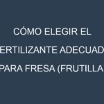 Cómo Elegir el Fertilizante Adecuado para Fresa (frutilla)