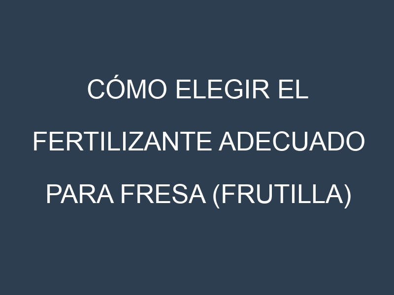 Cómo Elegir el Fertilizante Adecuado para Fresa (frutilla)