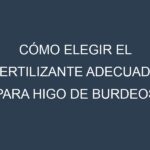 Cómo Elegir el Fertilizante Adecuado para Higo de Burdeos