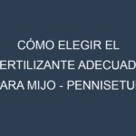 Cómo Elegir el Fertilizante Adecuado para Mijo – Pennisetum glaucum