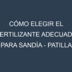 Cómo Elegir el Fertilizante Adecuado para Sandía – Patilla