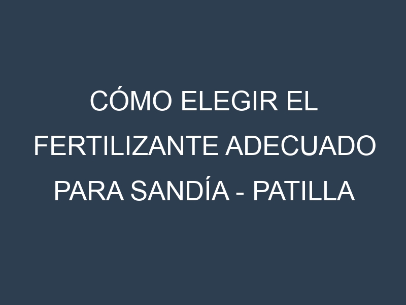 Cómo Elegir el Fertilizante Adecuado para Sandía – Patilla