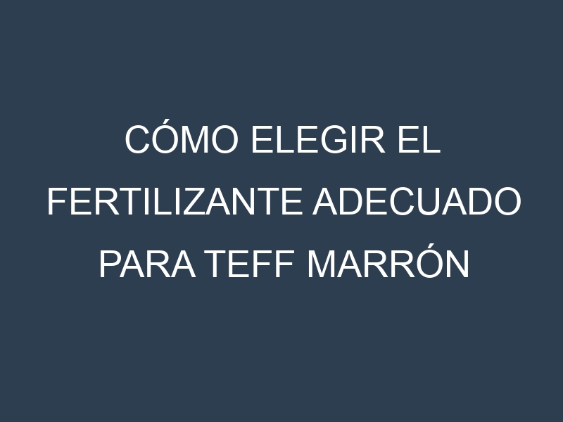 Cómo Elegir el Fertilizante Adecuado para Teff marrón
