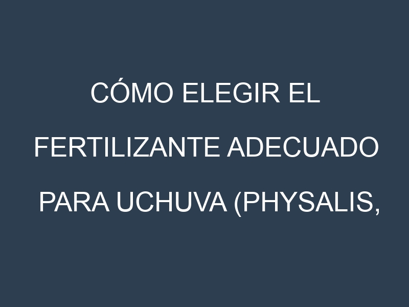 Cómo Elegir el Fertilizante Adecuado para Uchuva (Physalis, goldenberry)