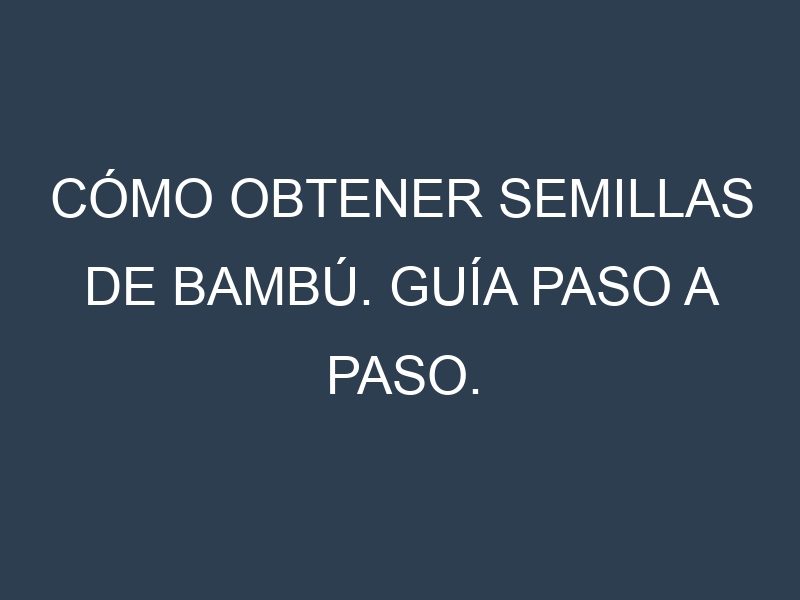 Cómo obtener semillas de Bambú. Guía paso a paso. Técnicas sencillas. Conservación.