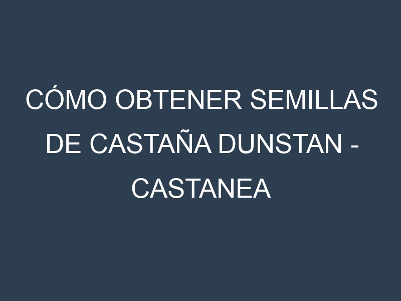 Cómo obtener semillas de Castaña Dunstan – Castanea mollissima. Guía paso a paso. Técnicas sencillas. Conservación.