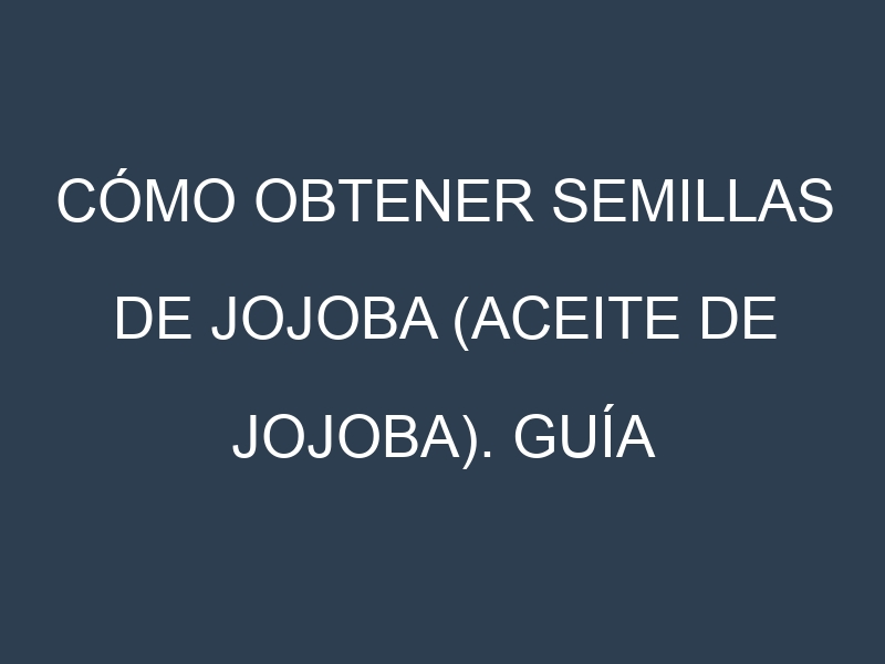Cómo obtener semillas de Jojoba (aceite de jojoba). Guía paso a paso. Técnicas sencillas. Conservación.