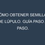 Cómo obtener semillas de Lúpulo. Guía paso a paso. Técnicas sencillas. Conservación.