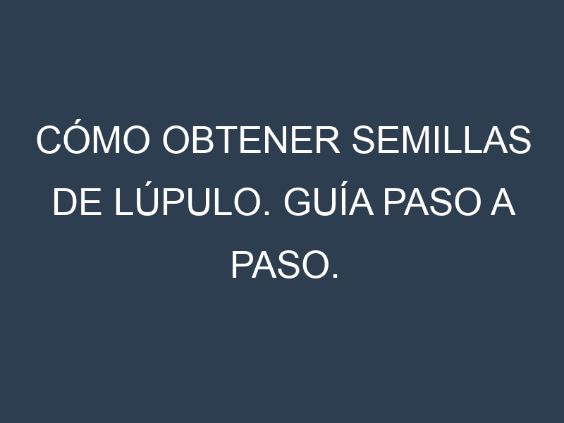 Cómo obtener semillas de Lúpulo. Guía paso a paso. Técnicas sencillas. Conservación.