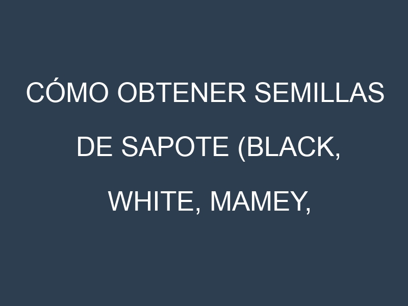 Cómo obtener semillas de Sapote (Black, White, Mamey, Green, Chico). Guía paso a paso. Técnicas sencillas. Conservación.