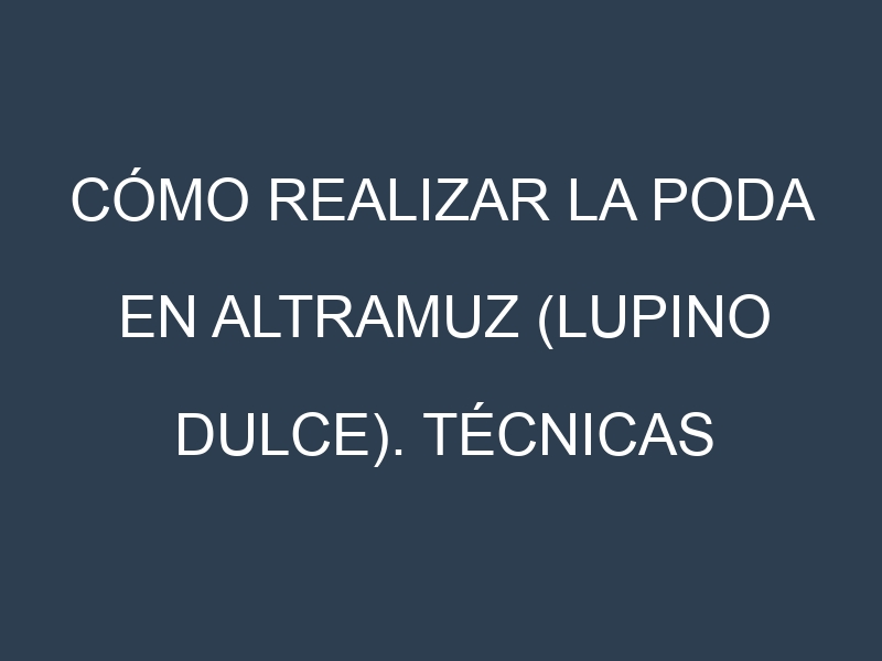 Cómo Realizar la Poda en Altramuz (lupino dulce). Técnicas y Poda de formación.