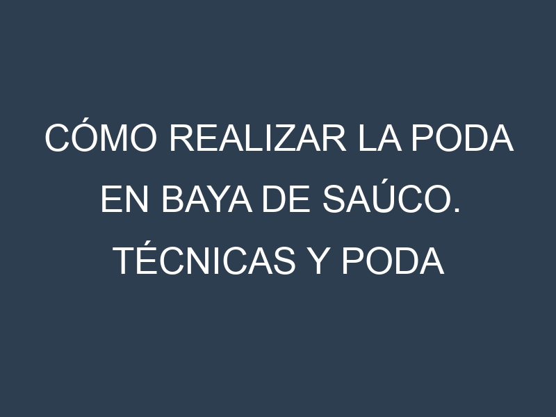 Cómo Realizar la Poda en Baya de saúco. Técnicas y Poda de formación.