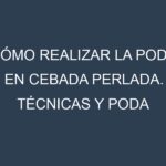 Cómo Realizar la Poda en Cebada perlada. Técnicas y Poda de formación.