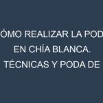 Cómo Realizar la Poda en Chía blanca. Técnicas y Poda de formación.