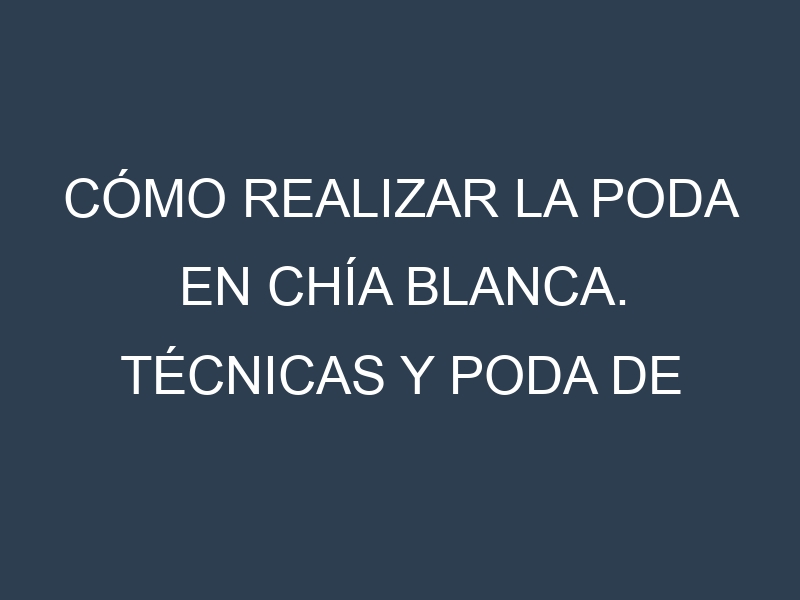 Cómo Realizar la Poda en Chía blanca. Técnicas y Poda de formación.